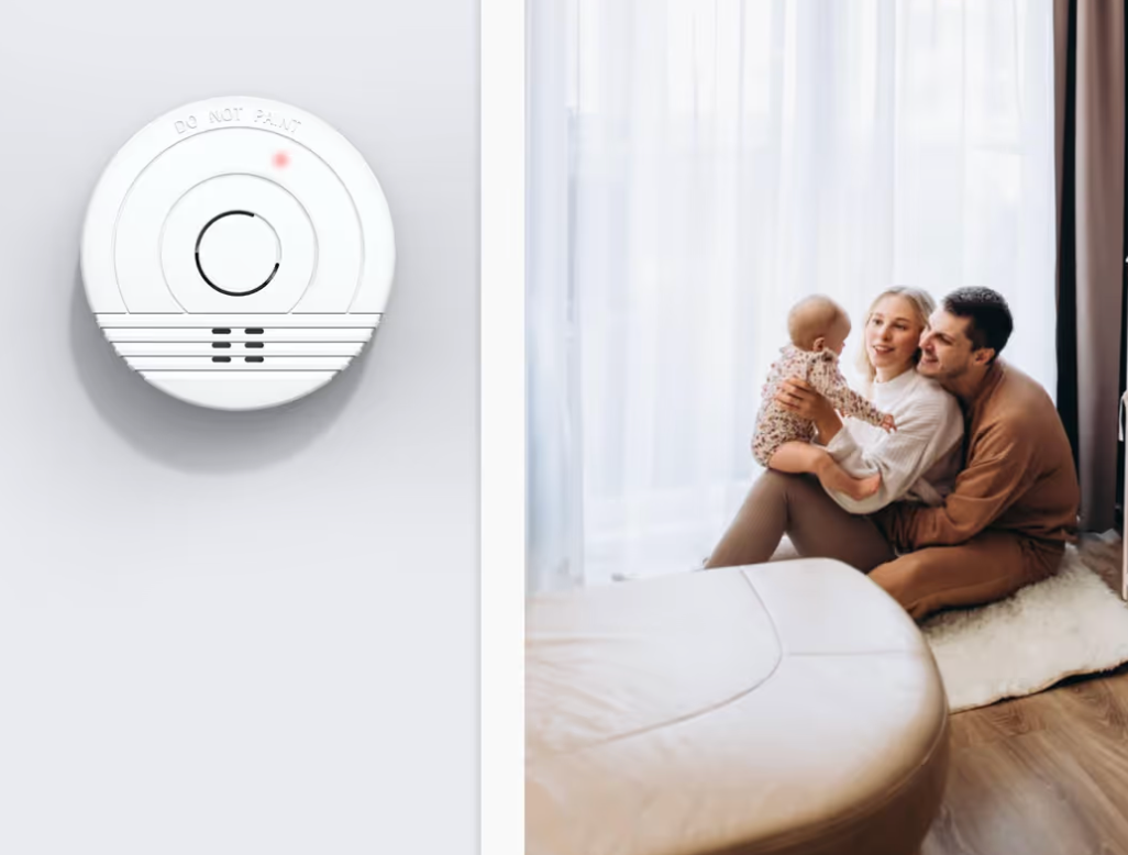 Dumų detektorių paletė